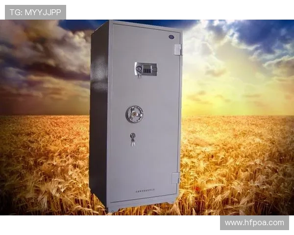 k8凯发·娱乐(中国)首页登录入口：常见登录问题解决方案与安全保障措施